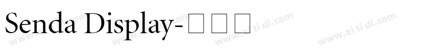 Senda Display字体转换